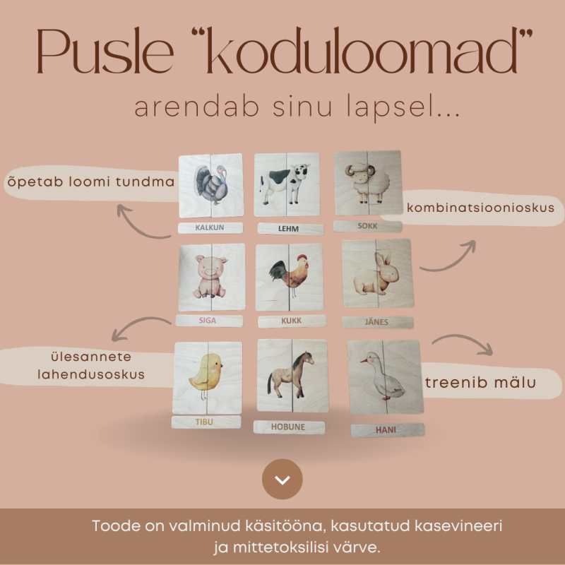 pusl3.png